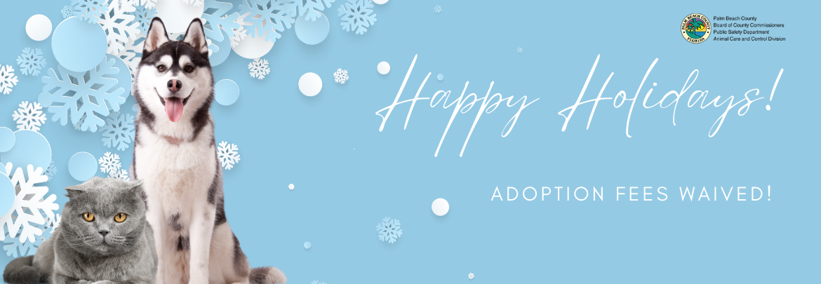 Animal Care & Control Adoption Fees Waived - December 2025
